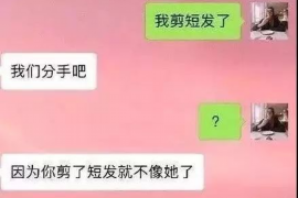 协助杨先生追讨女朋友欠债